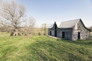 A tree with no leaves standing beside an old house with boarded-up windows.