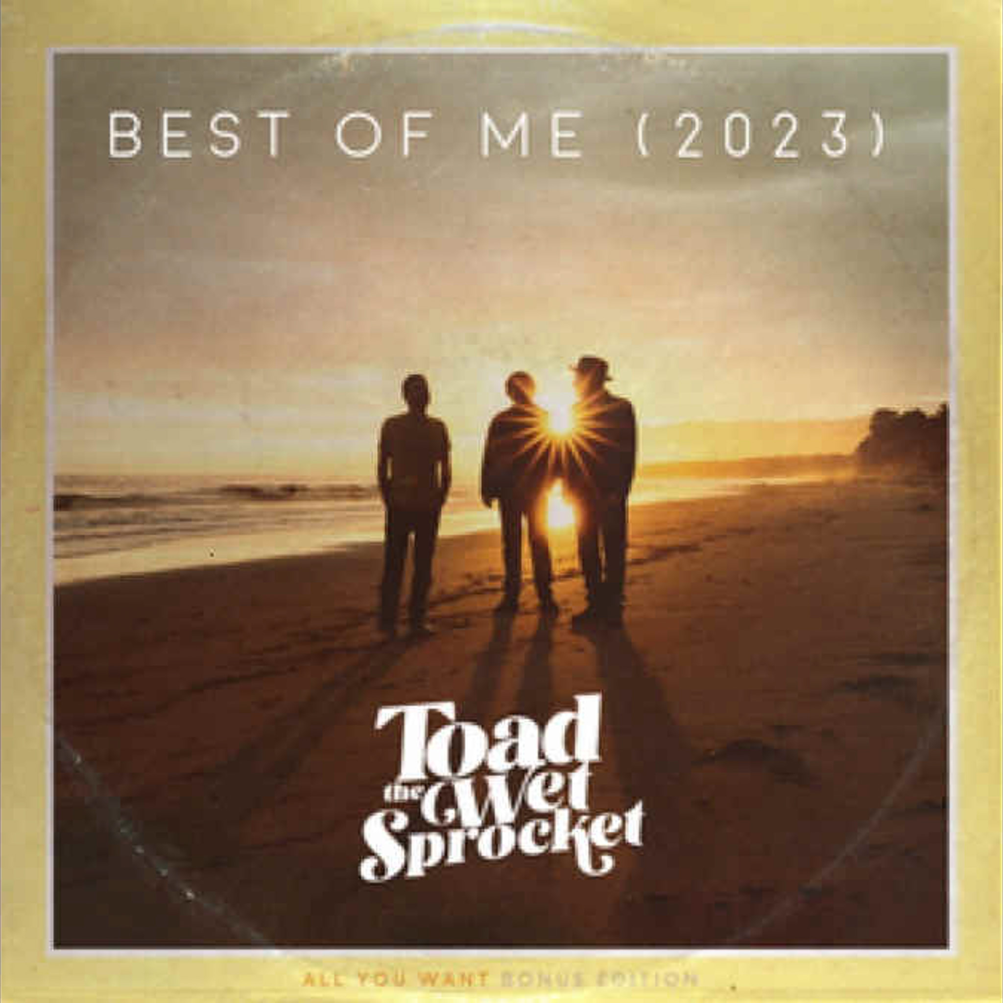 Toad the Wet Sprocket Best of Me (2023) album cover